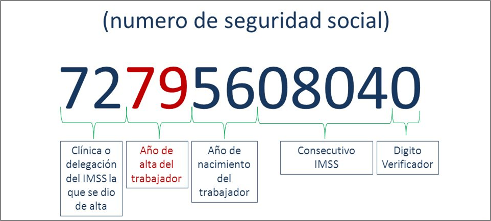 Significado Numero de Seguridad Social IMSS